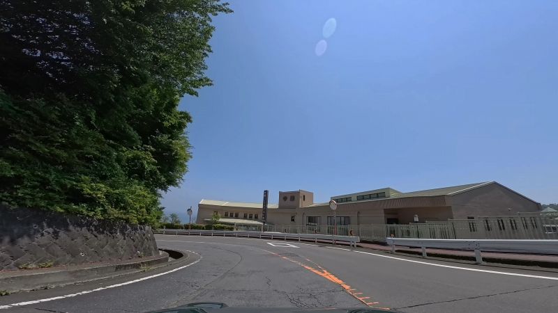 頼朝ライン